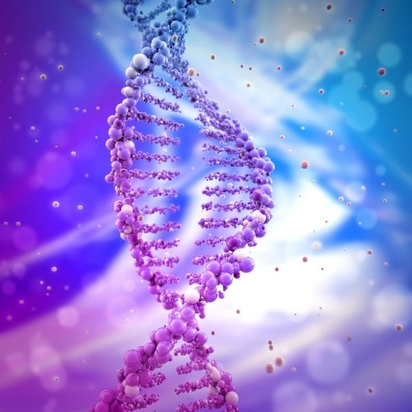 Allows us to collect and store patient DNA sepsis samples.